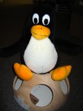 Silly Penguin, Hemis Are Not Eggs!